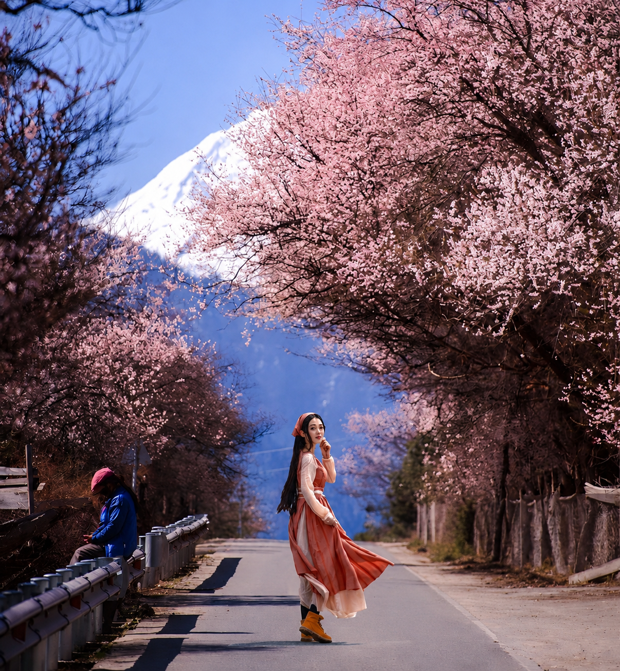 西藏桃花盛宴
