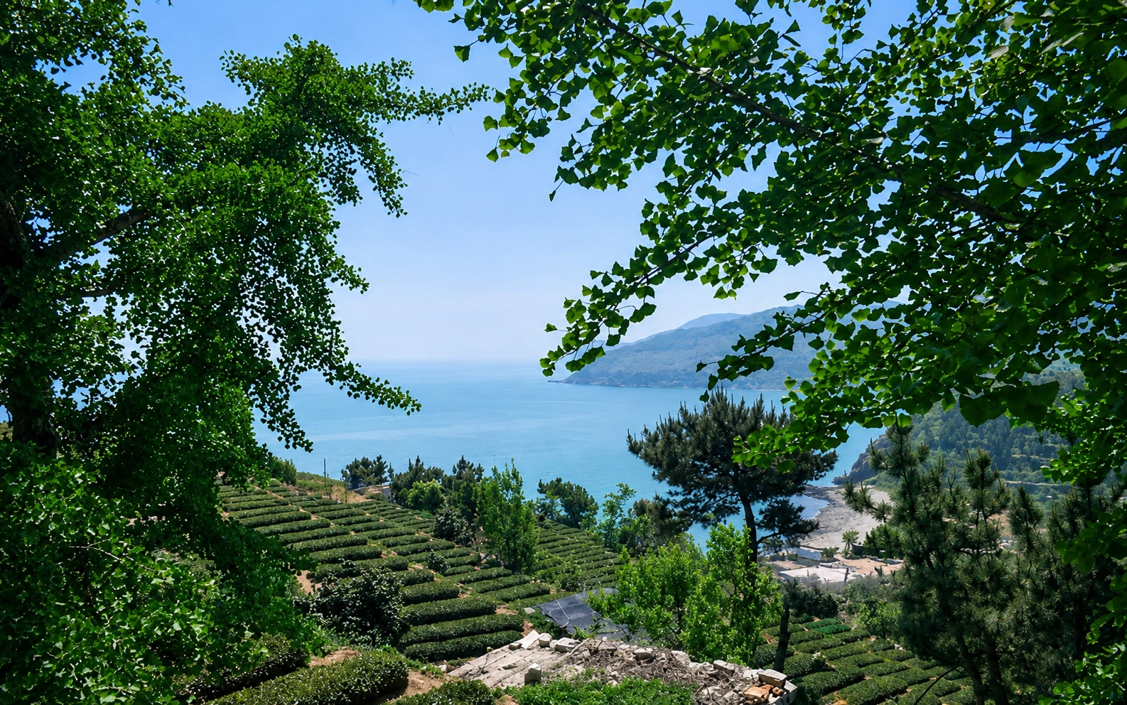 仰口风景区