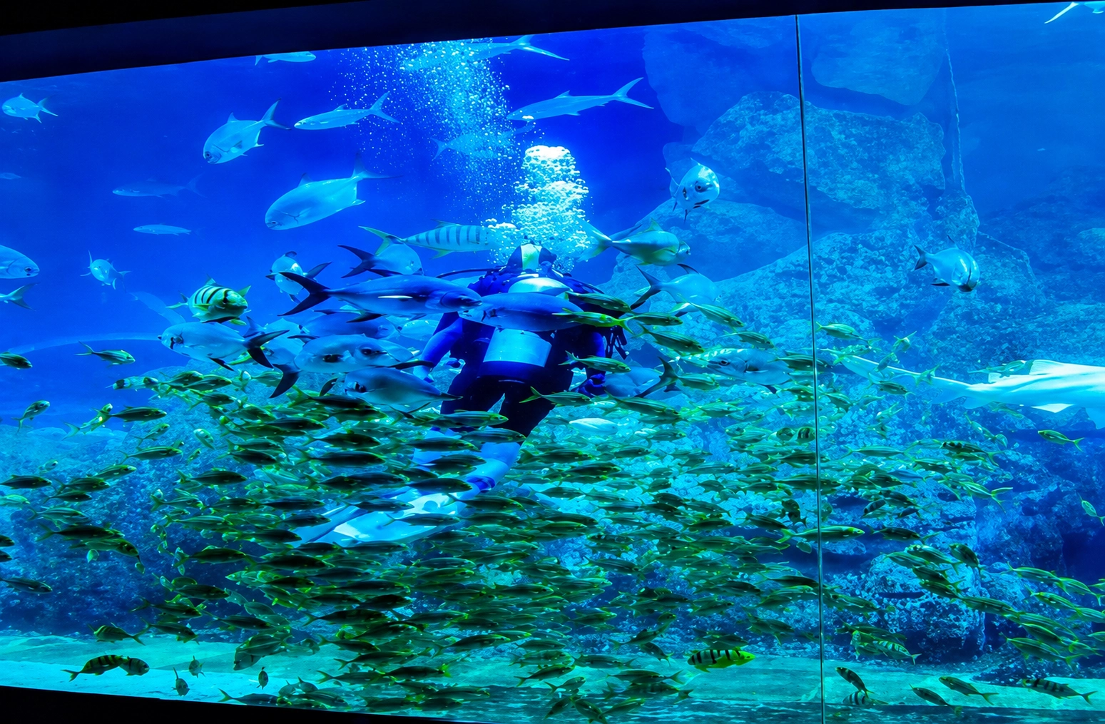 海洋世界