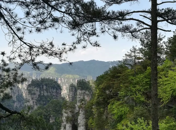 张家界5天4晚跟团游