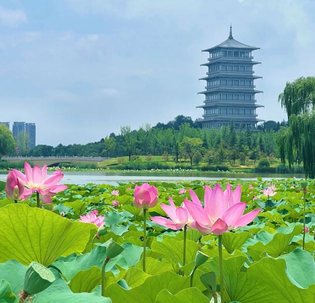 西安5天4晚跟团游 西安5天4晚跟团游