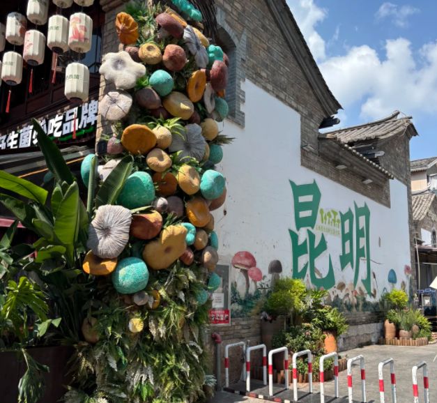 云南5天4晚纯玩团 云南5天4晚纯玩团