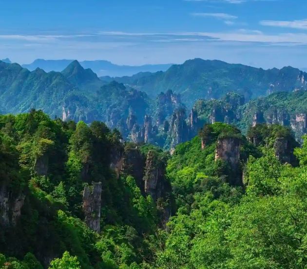 上班族带父母张家界5天4晚纯玩团