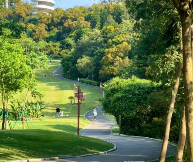 厦门4天3晚纯玩团 厦门4天3晚纯玩团