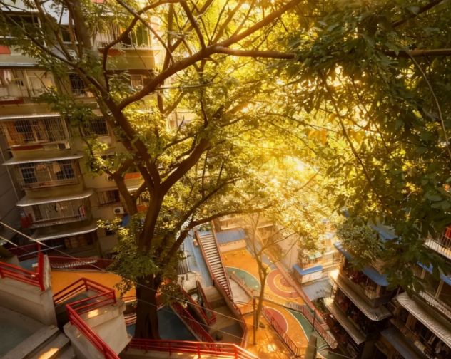 重庆3天2晚跟团游