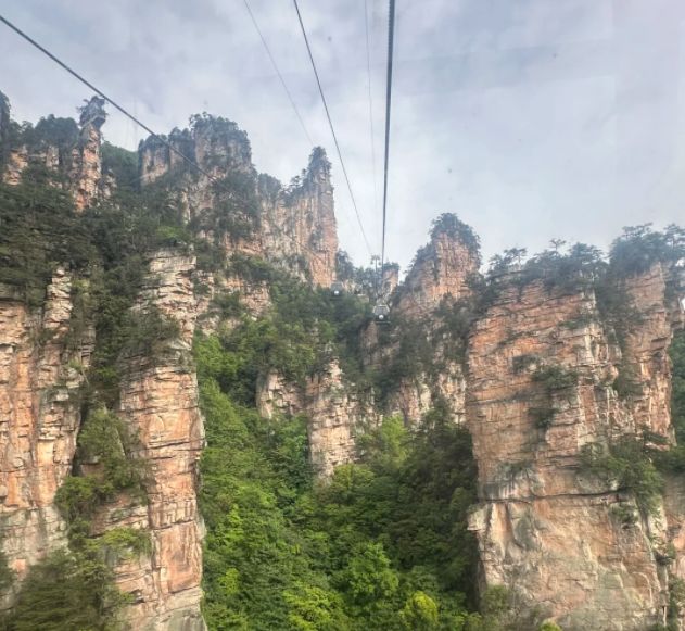 上班族带父母张家界5天4晚纯玩团