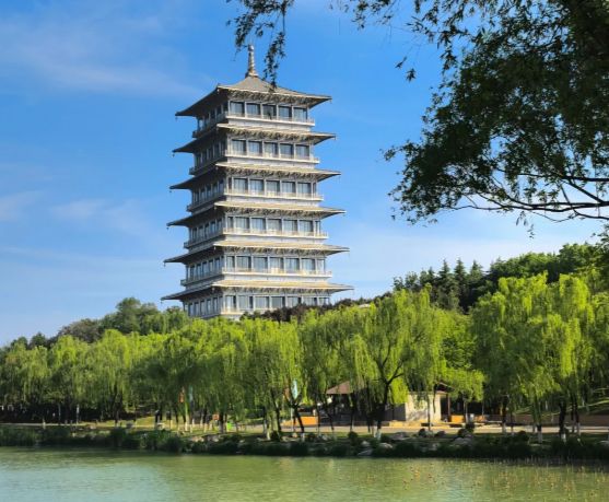 拒绝低价团透明的5日游