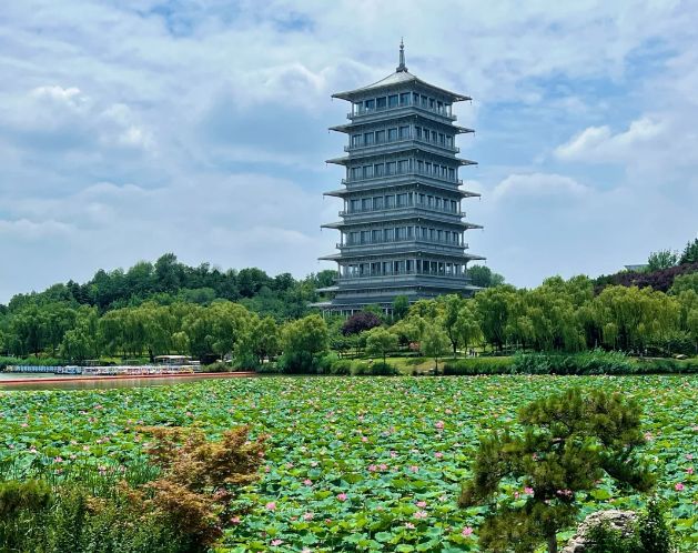 分清低价团和纯玩团真实5天4晚 分清低价团和纯玩团真实5天4晚