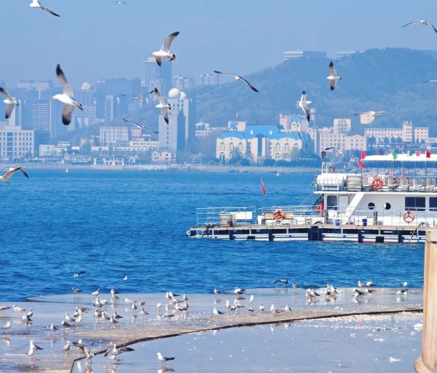 明细与实用4天3晚跟团游 明细与实用4天3晚跟团游