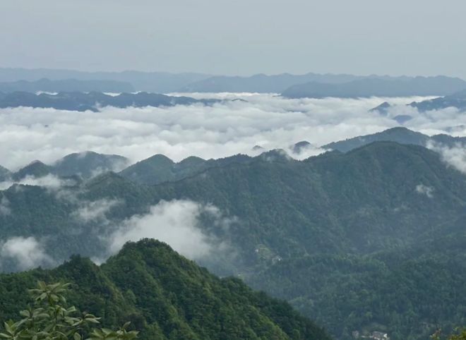 张家界5天4晚跟团游