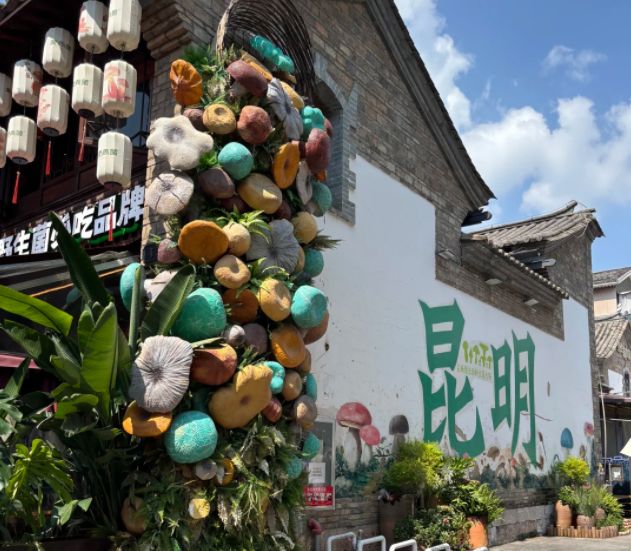 亲友结伴去云南旅游休闲实用5天4晚跟团游