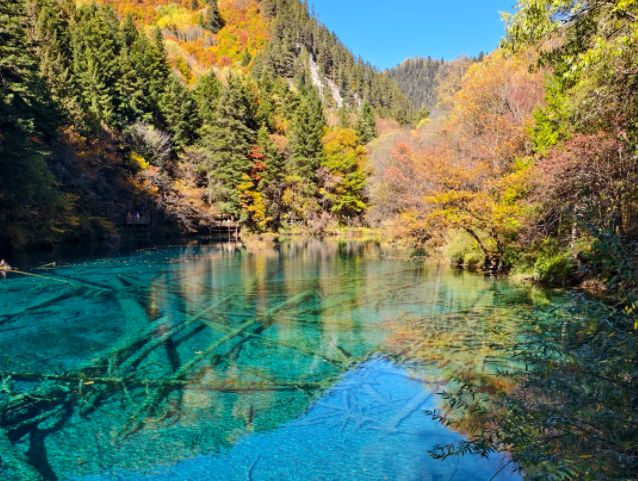 游四川5天4晚旅游攻略