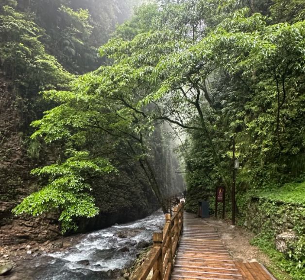 张家界5天4晚跟团游