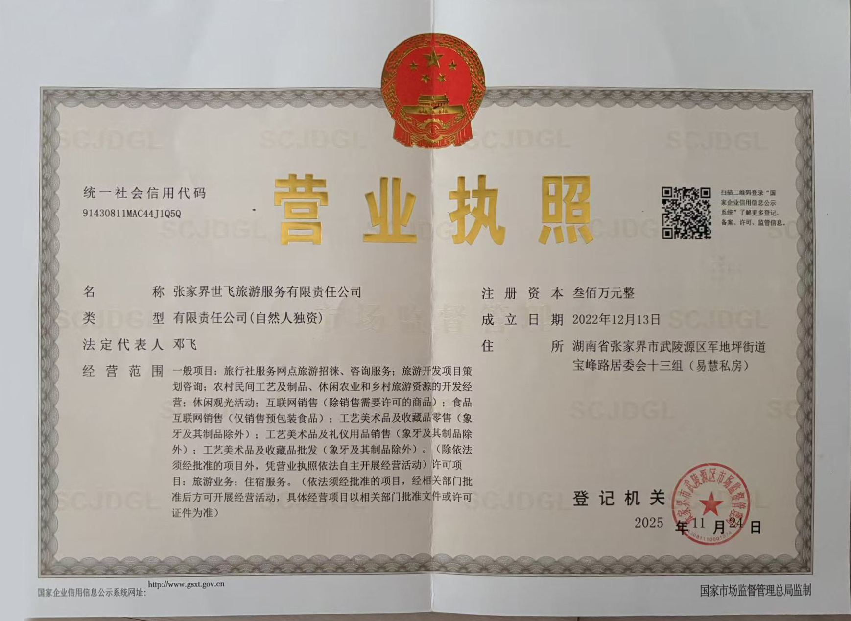 Travel Agency Business License