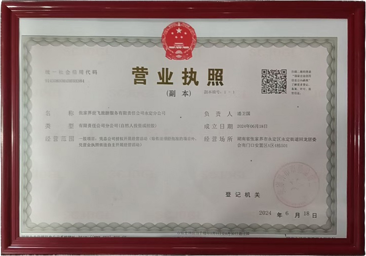 Travel Agency Branch Business License
